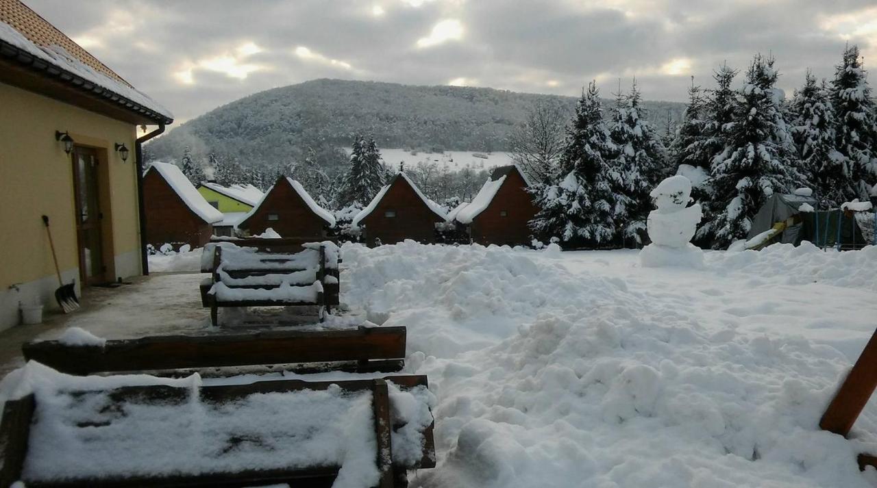 Bobrowka Villa Solina  Bagian luar foto